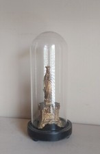 Vierge en régule sous globe , ancien , Napoléon III ???