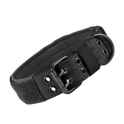Collier militaire pour chien - collier,