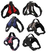 1 Harnais Chien - Taille S M L