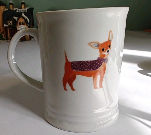 Fringe studio chihuahua dog - studio,