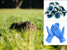 Poison puissant pour les taupes poison bleu 20 pièces livraison gratuite