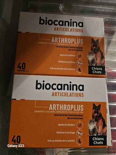 Lot arthrose deux - lot, chien