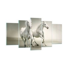 Impression sur Verre 160x85cm