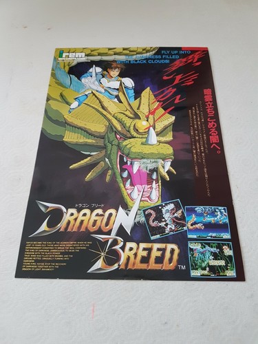 Dragon breed irem shoot - dragon,