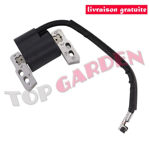 Bobine allumage pour briggs - bobine,