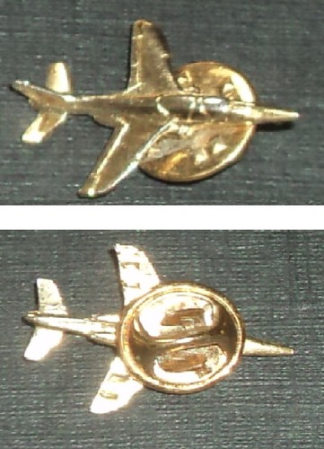 Rare pin épinglette - rare, pin's