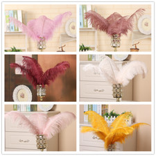 Mariage Costume DIY Plume