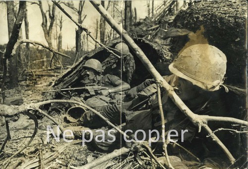 Guerre vietnam 1967 dakto - guerre,