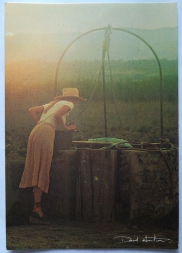 Carte postale david - ,