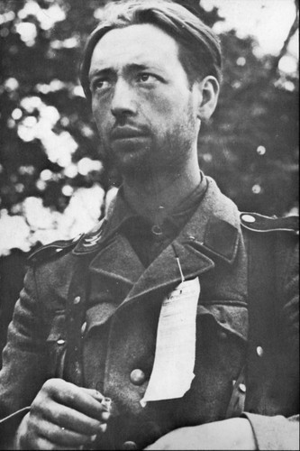 Ww2 lvf français de - -,