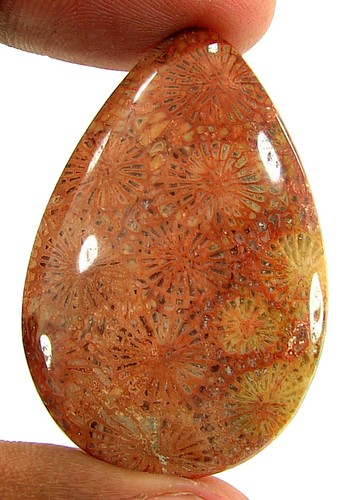 Cabochon pierre corail - pierre,