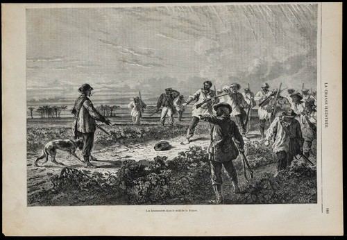 1869 scène de - 1869, braconnage