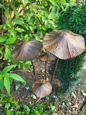 Groupe de 4 champignons à