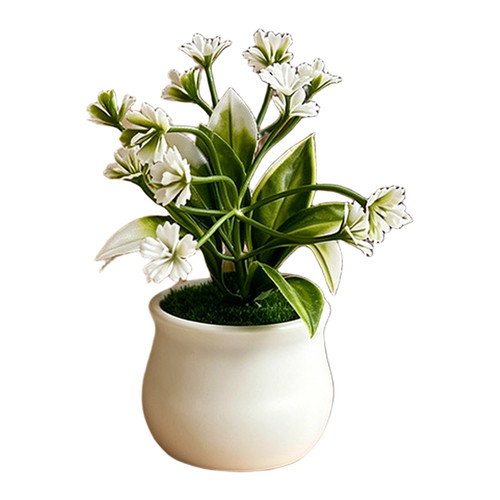 Plante pot caoutchouc - en, en