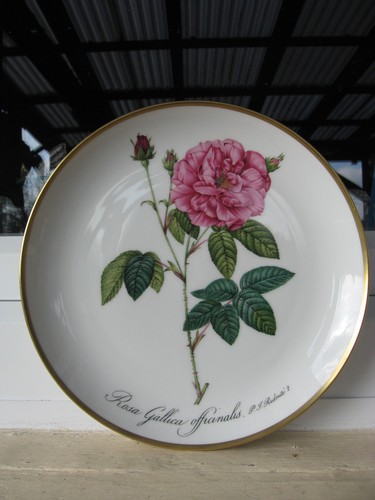 Assiette collection - de,