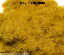 WWS 4mm remorque à Foin champs Public Static d'herbe chef militaire scène