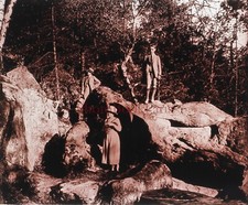 FRANCE Forêt de Fontainebleau Photo Plaque de verre Stereo Vintage P29L12n8