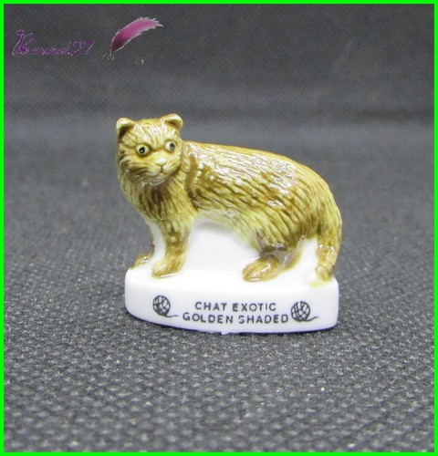 Feve les races chat - feve,