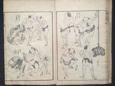 ORG HOKUSAI manga Vol.11