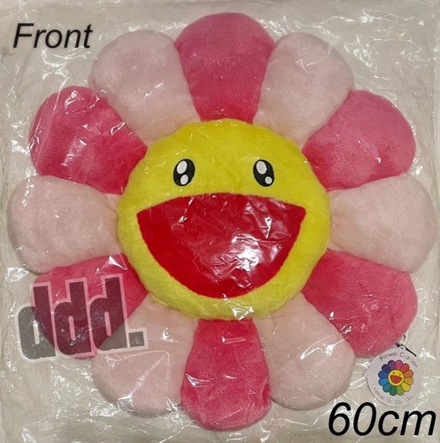 Peluche coussin coussin