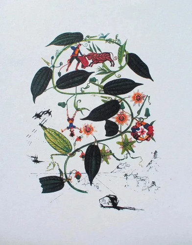 Salvador dali passiflore - salvador,