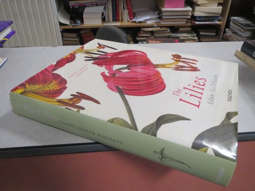 Ca372 the lilies lilien - lilien, les