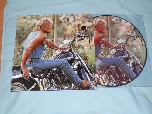 Johnny hallyday possible - johnny,