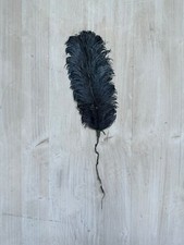 Plume Autruche Chapeau Ancien Verte Bleu