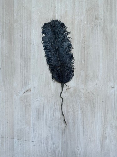 Plume autruche chapeau ancien - plume,