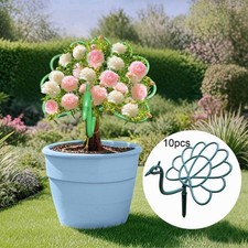 Lot de 10 tuteurs pour plantes