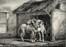 Cheval Ferme LITHOGRAPHIE