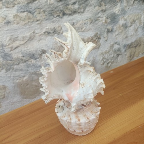 Lampe coquillage vintage - lampe,
