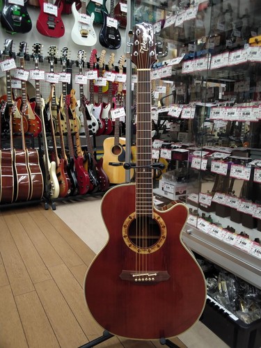 Takamine 508 acoustic - takamine,