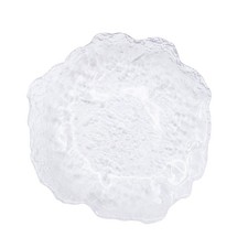 Assiette Pour Salade Plaque En