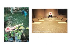 Renault Twingo - 2 Cartes