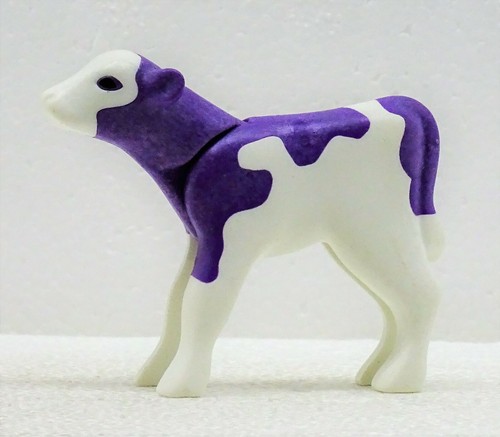 Doux veau violet blanc - veau,