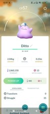 Ditto Wearing A Cap Non Shiny