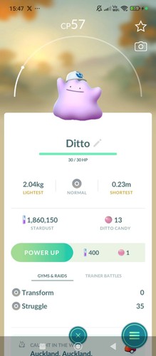 Ditto wearing cap - ditto, shiny