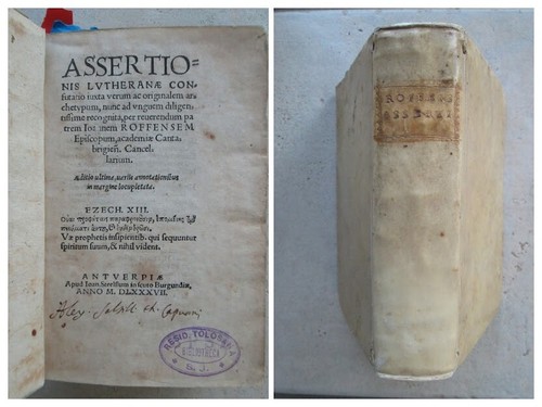 Fischer assertionis - fischer,