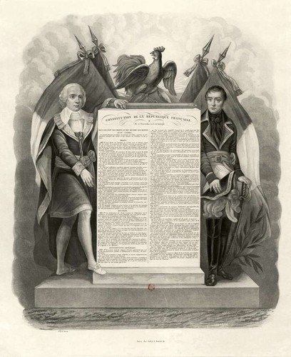 Plaque métal constitution - plaque,