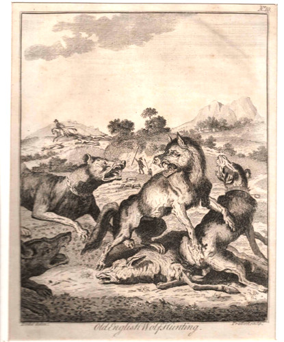 19th century engraving the - century,