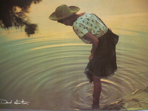 Carte postale david - postale,