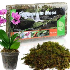 Sphaigne Moss 5L/150g (1