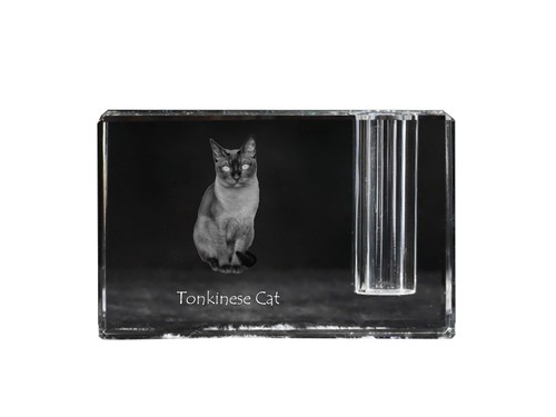 Tonkinese chat porte - tonkinese, stylo