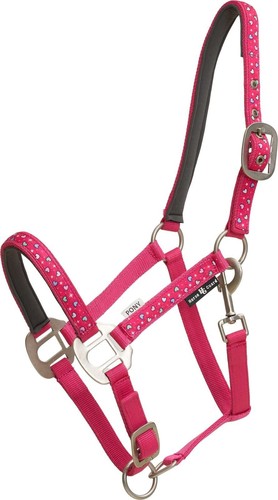 Licol poney édition limité