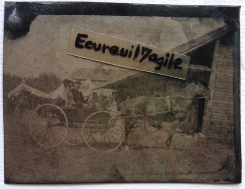 Ferrotype couple attelage - couple,