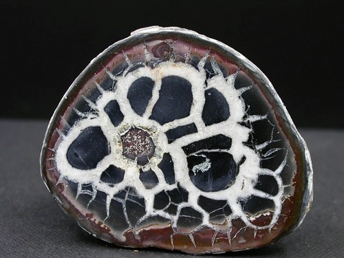 Septaria maroc 1 x - maroc, 4,1