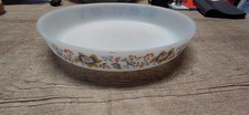 Grand plat arcopal - en,