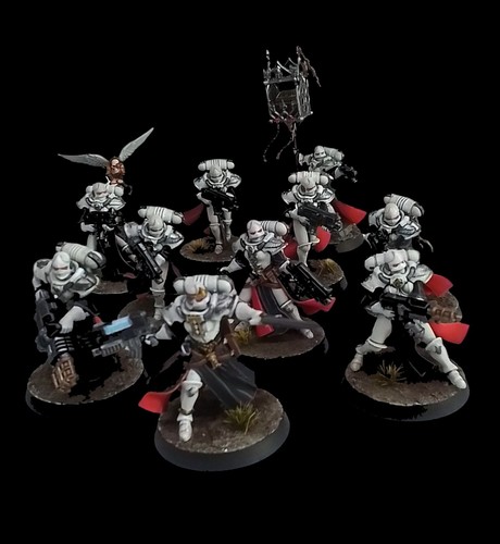 Commission pro painted - pro, battle