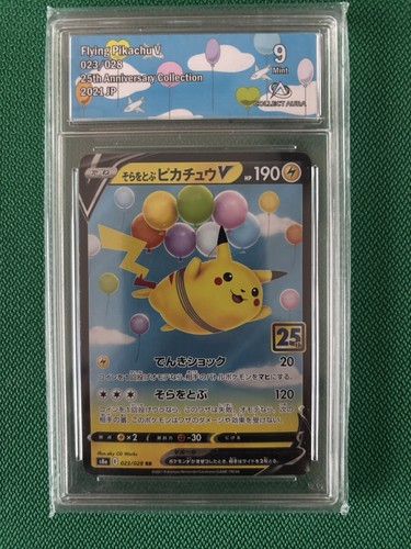Flying pikachu 023 028 - pikachu, rr